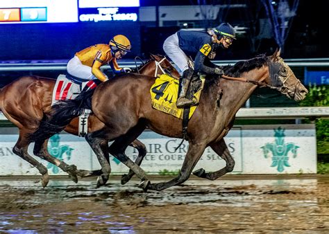 kentucky derby future wagers|Kentucky Derby Future Wager: Fierceness is 5.